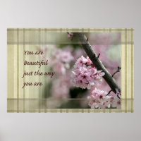 Kirschblüten Sie sind schön