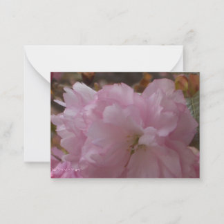 Kirschblüten-Sympathie-Karte Mitteilungskarte
