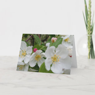 Kirschblüten-Überraschung Gefaltete Dankeskarte