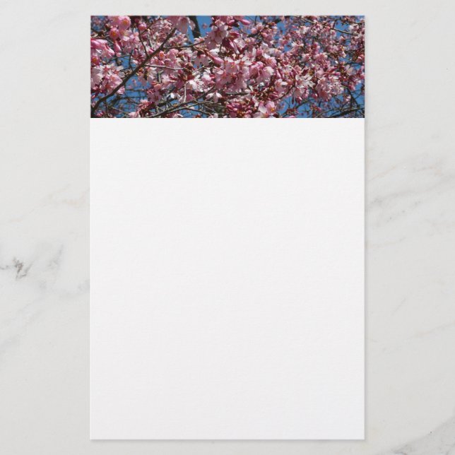 Kirschblüten und Blauer Himmelsblüte Briefpapier (Vorderseite)