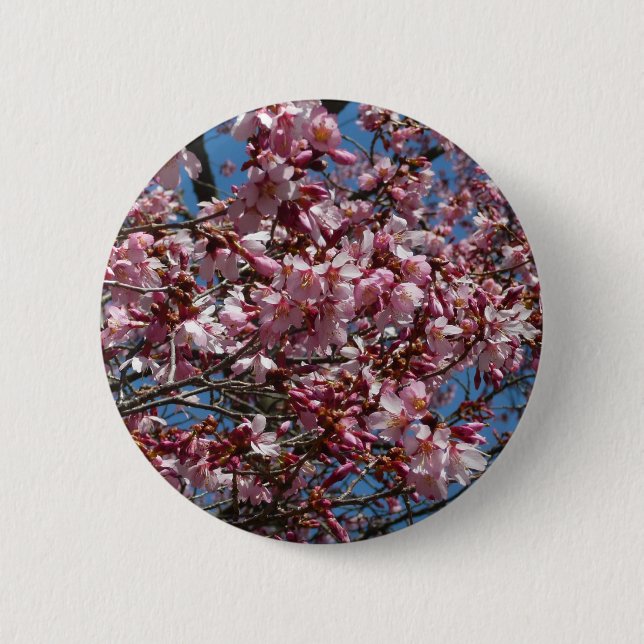 Kirschblüten und Blauer Himmelsblüte Button (Vorderseite)