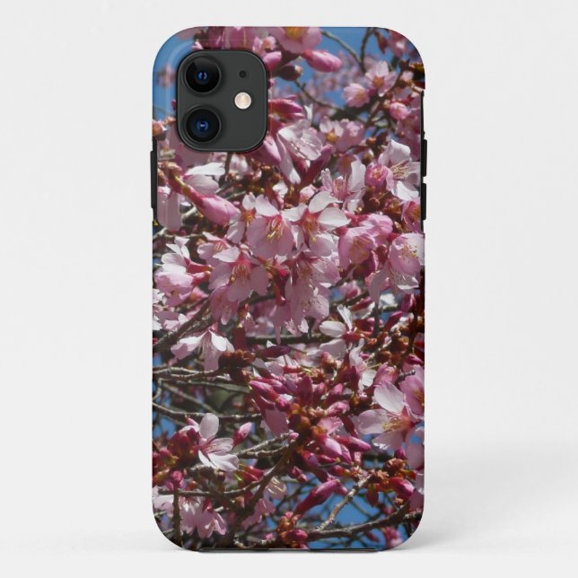 Kirschblüten und Blauer Himmelsblüte Case-Mate iPhone Hülle (Rückseite)