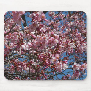 Kirschblüten und Blauer Himmelsblüte Mousepad