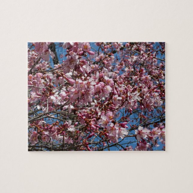 Kirschblüten und Blauer Himmelsblüte Puzzle (Horizontal)