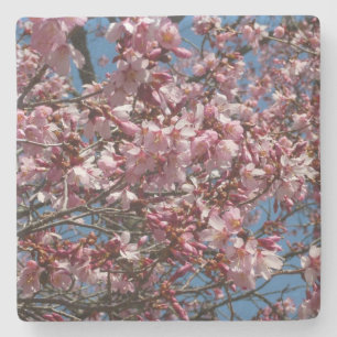 Kirschblüten und Blauer Himmelsblüte Steinuntersetzer