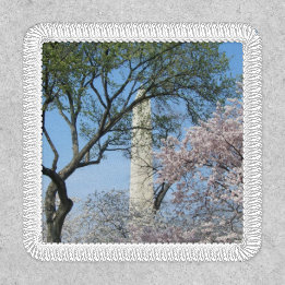 Kirschblüten und das Washington Monument in DC