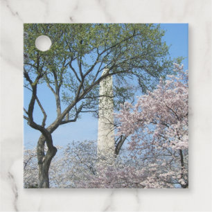 Kirschblüten und das Washington Monument in DC Geschenkanhänger