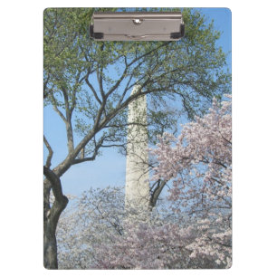 Kirschblüten und das Washington Monument in DC Klemmbrett