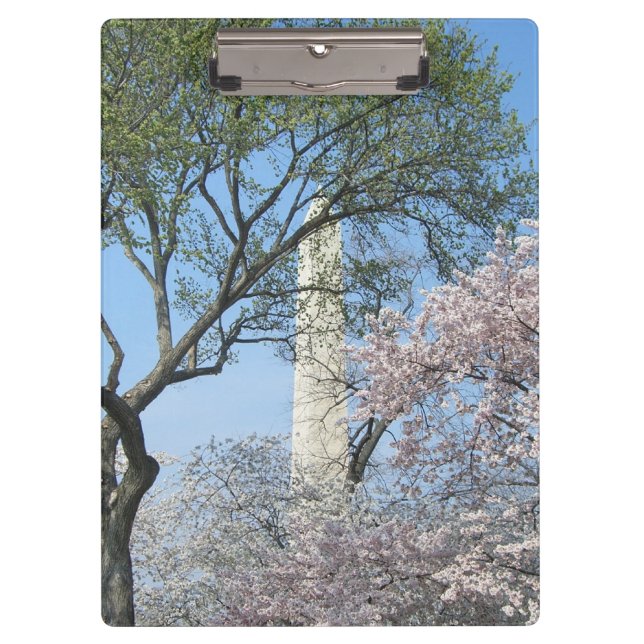 Kirschblüten und das Washington Monument in DC Klemmbrett (Vorderseite)
