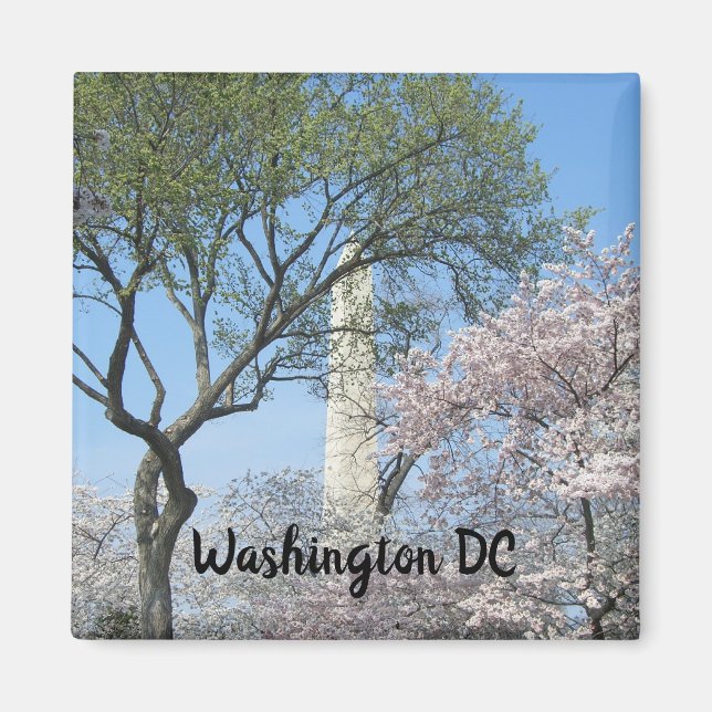 Kirschblüten und das Washington Monument in DC Magnet (Vorne)