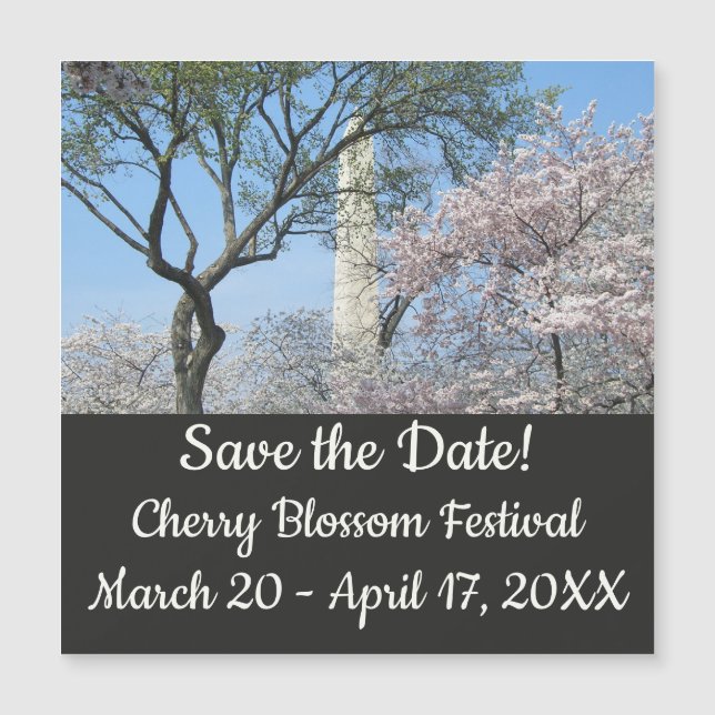 Kirschblüten und das Washington Monument in DC Magnetkarte (Vorderseite)