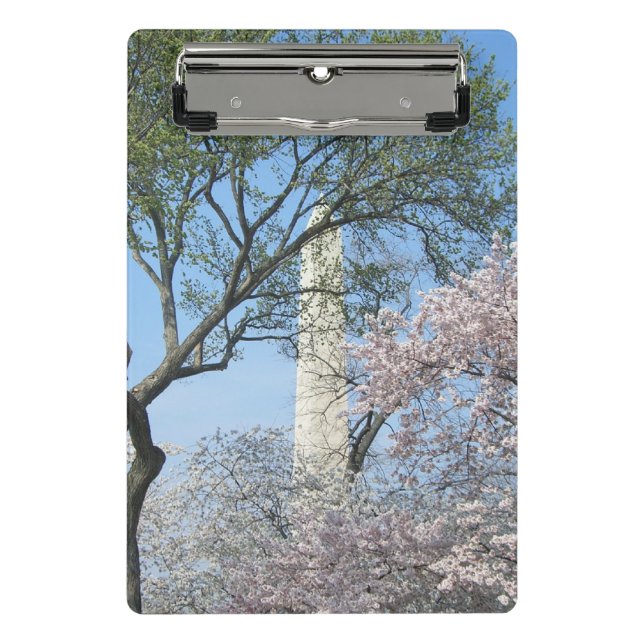 Kirschblüten und das Washington Monument in DC Mini Klemmbrett (Vorderseite)