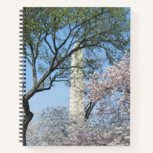 Kirschblüten und das Washington Monument in DC Notizbuch