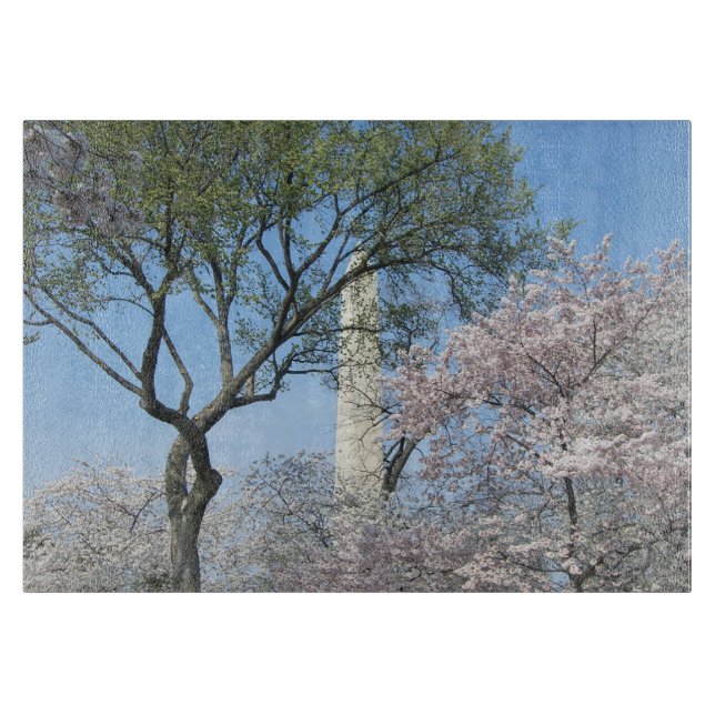 Kirschblüten und das Washington Monument in DC Schneidebrett (Vorderseite)