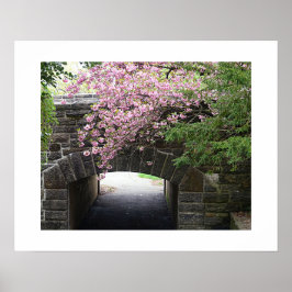 Kirschblüten und Foto der Steinbrücke Poster