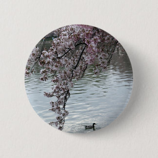 Kirschblüten-Washington DC Button