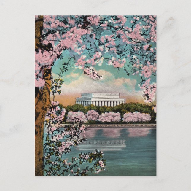 Kirschblüten Washington DC Postkarte im Vintage-St (Vorderseite)