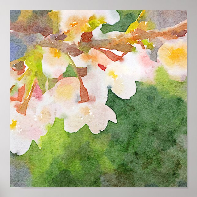 Kirschblüten Wasserfarbe Sakura Blume Frühjahr Poster (Vorne)