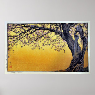 Kirschblüten Yoshidas Toshi Poster