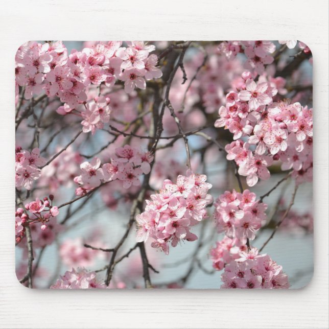 Kirschblütenbaum rosa mousepad (Vorne)