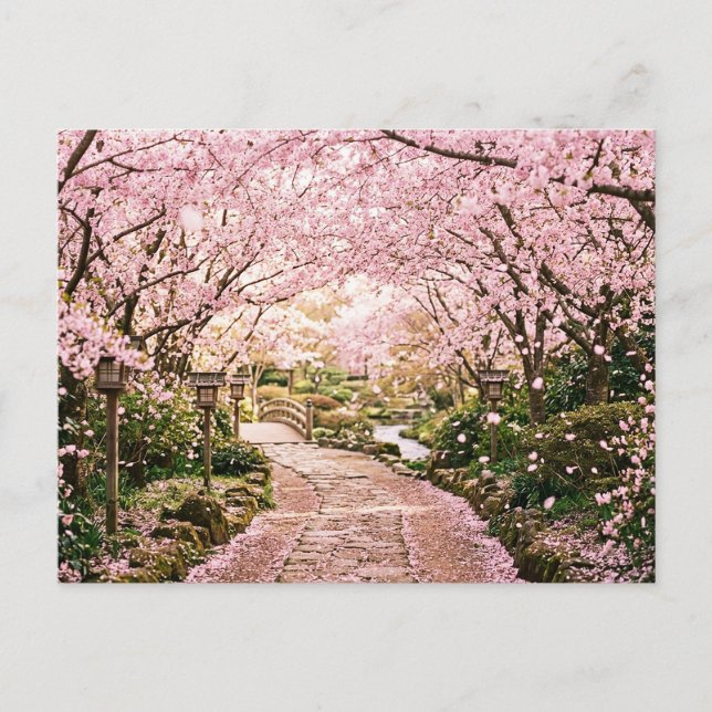 Kirschblütenbäume Postkarte (Vorderseite)