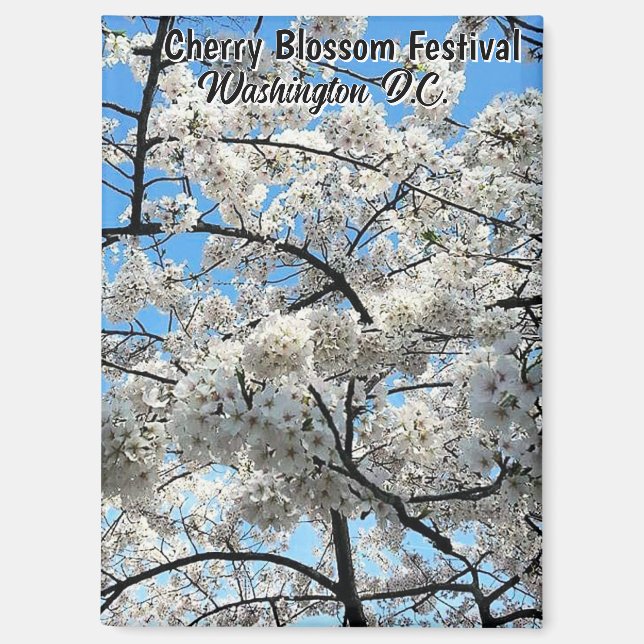 Kirschblütenfest Washington D.C. Souvenir Magnet (Vorderseite)