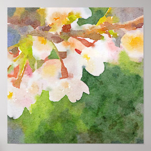 Kirschblütenwatercolor-Kirschblüte-Blumen-Frühling Poster