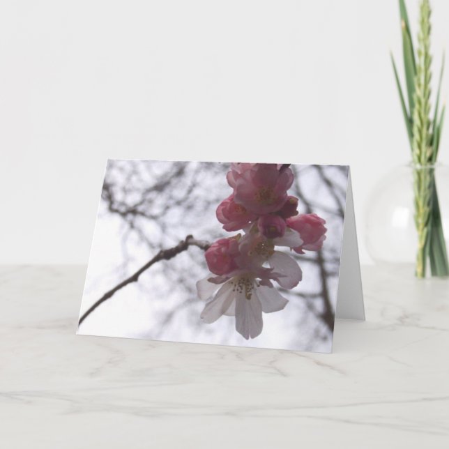 Kirsche Karte (Vorderseite)