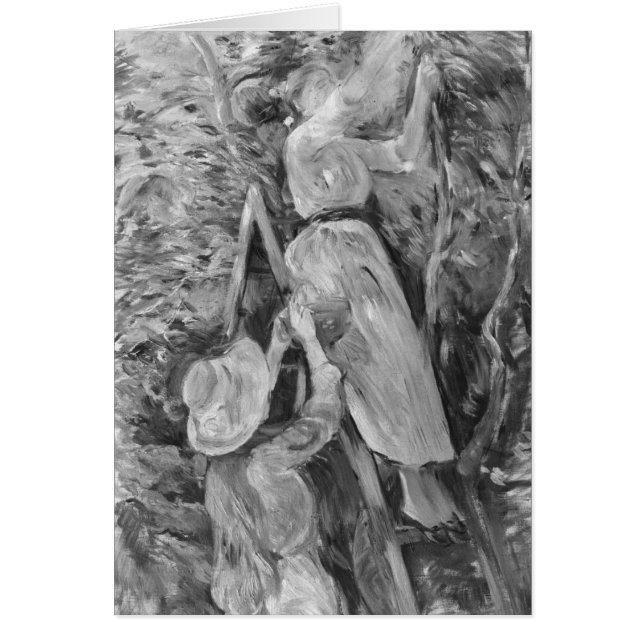 Kirschen, 1891 (Vorne)