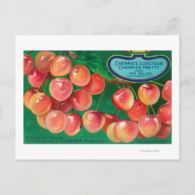 Kirschen aus der Cherry CityThe Dalles, OR Postkarte (Vorderseite)