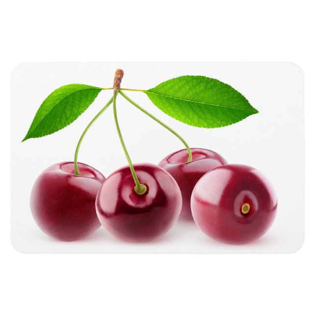 Kirschen Magnet (Horizontal)