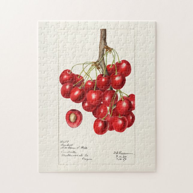 Kirschen (Prunus Avium) Fruchtfarben Puzzle (Vertikal)