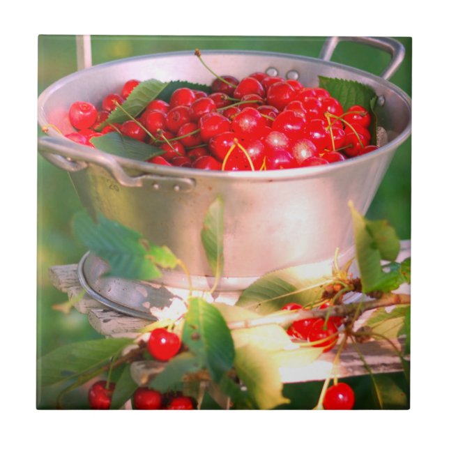 Kirschernte, Hütte Garten Rosalinde Fliese (Vorderseite)