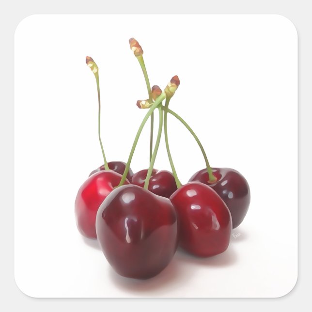 Kirschreife Quadratischer Aufkleber (Vorderseite)