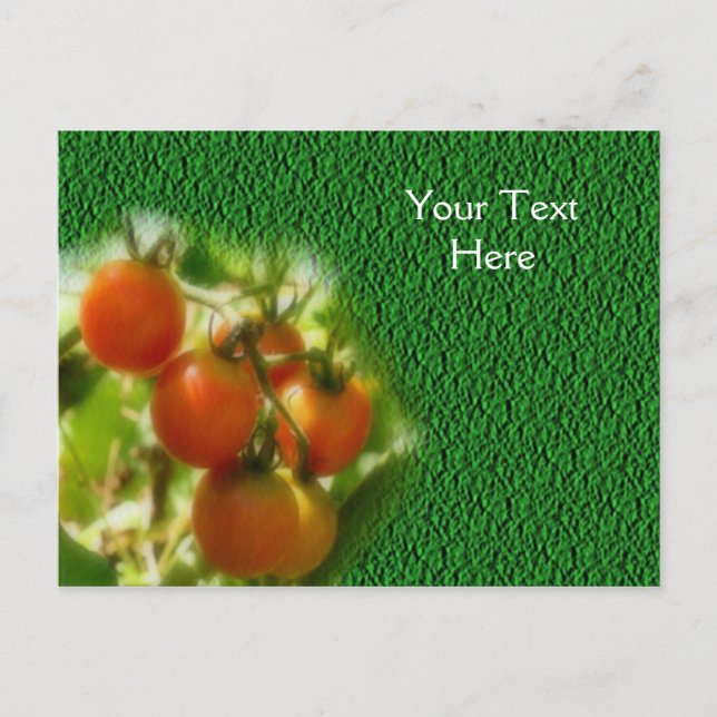 KirschTomaten auf der Weinnatur Postkarte (Vorderseite)