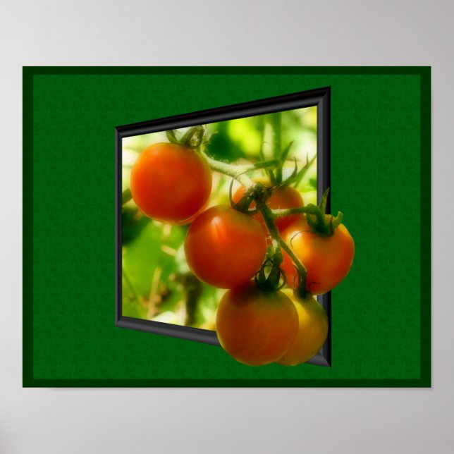 KirschTomaten aus der Gestell-Natur Poster (Vorne)