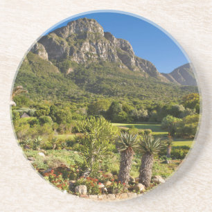 Kirstenbosch Botanic Gardens, Kapstadt Sandstein Untersetzer