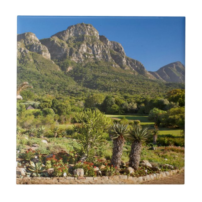 Kirstenbosch Botanischer Garten, Kapstadt Fliese (Vorderseite)