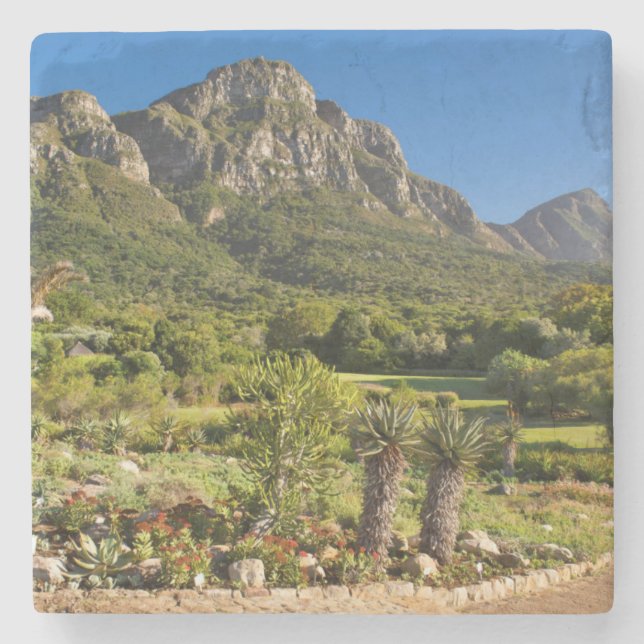Kirstenbosch Botanischer Garten, Kapstadt Steinuntersetzer (Vorderseite)