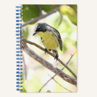Kirtland’s Warbler spiral bound bullet journal Notizbuch