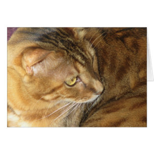 Kishka-funkelnd im Gold