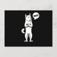 Kishu Inu Stubborn Dog