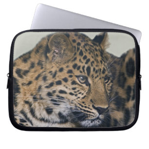 Kiska Laptop Hülle Laptopschutzhülle