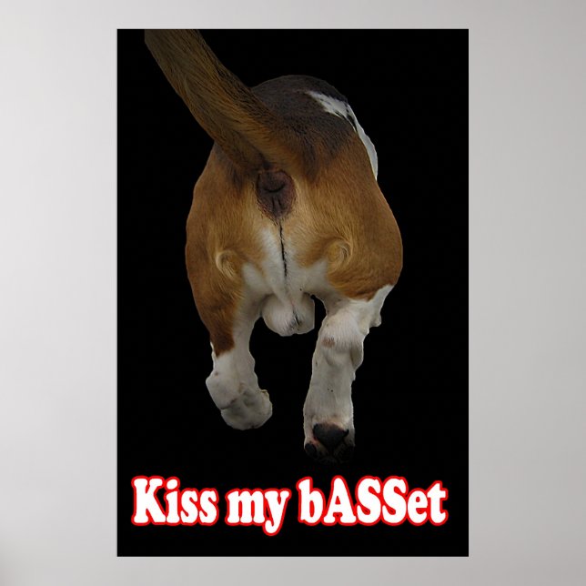 Kiss my bASSet Poster (Vorne)