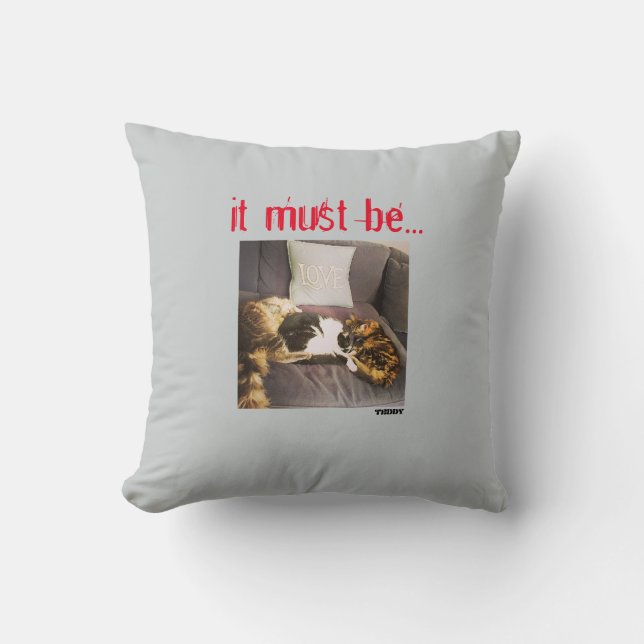 Kissen (Vorderseite)