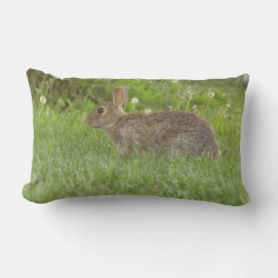 Kissen: Das Leben ist sanft Lendenkissen