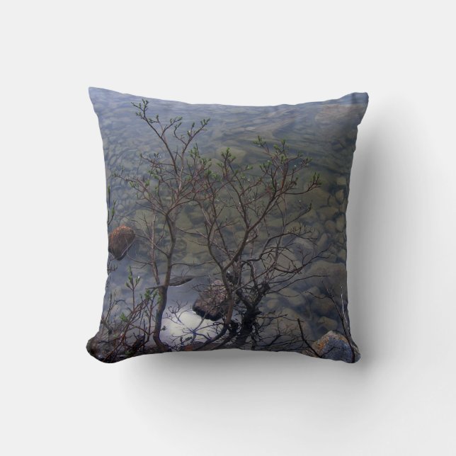 Kissen des Mirror See-2 (Vorderseite)