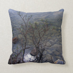 Kissen des Mirror See-2