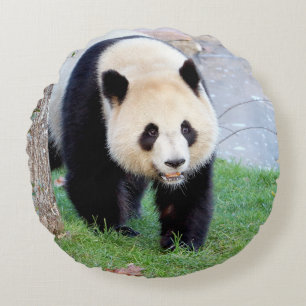Kissen Foto Riesenpanda.