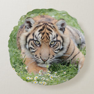 Kissen-Foto-Tigerkatze , Tiere 01 . Rundkissen Rundes Kissen